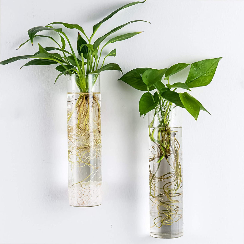Wall Hanging Planter Glass Plant Propagation Station for Home Office Decor, Large Cylinder, 4 Pack