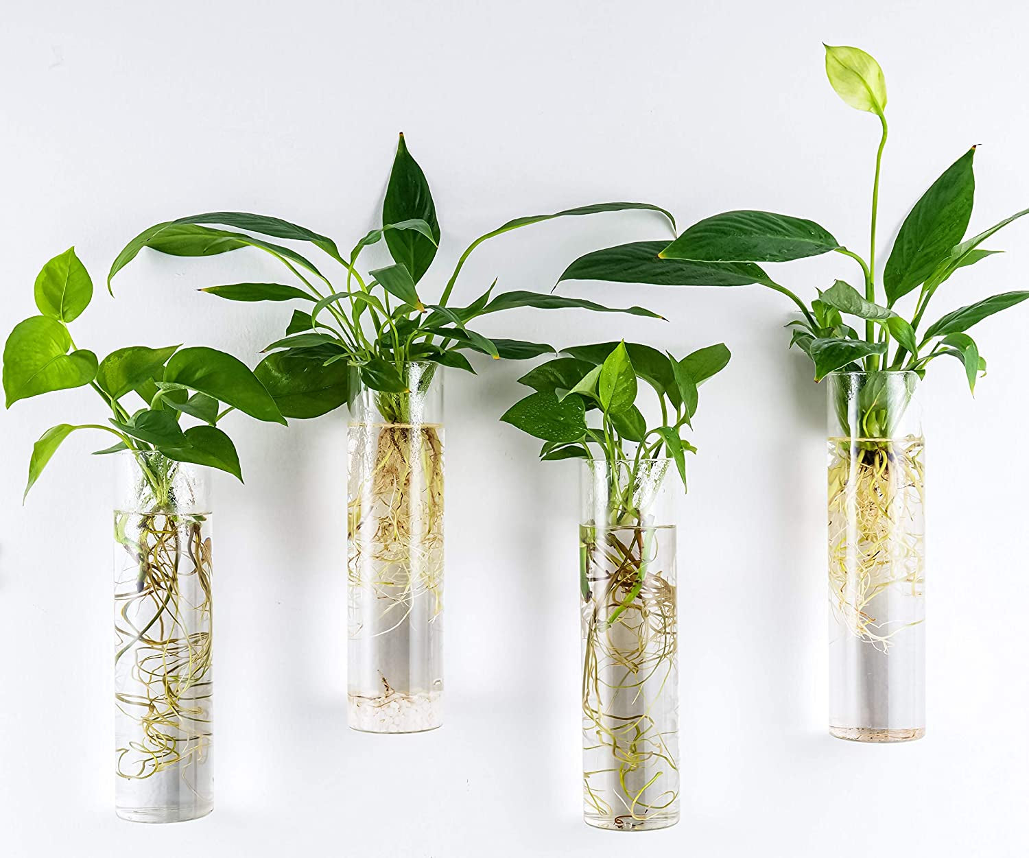 Wall Hanging Planter Glass Plant Propagation Station for Home Office Decor, Large Cylinder, 4 Pack
