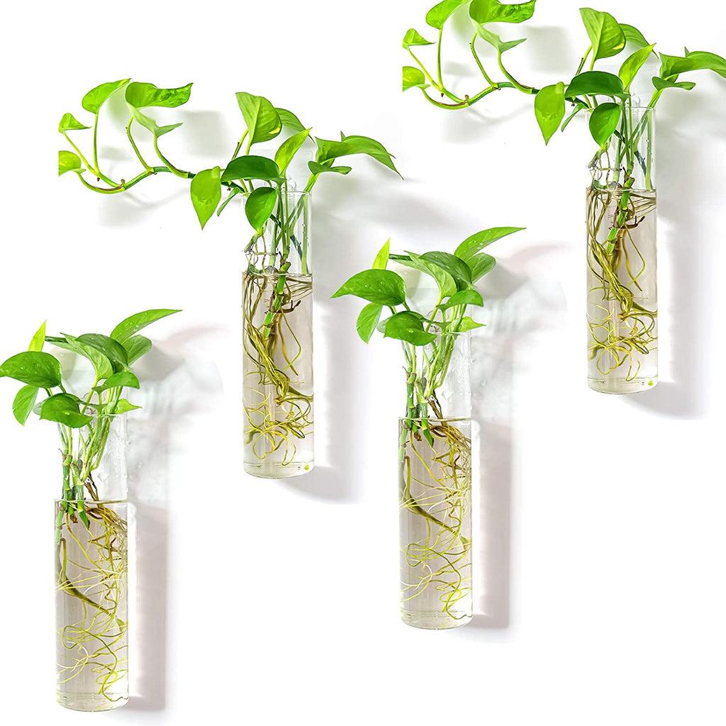 Wall Hanging Planter Glass Plant Propagation Station for Home Office Decor, Large Cylinder, 4 Pack