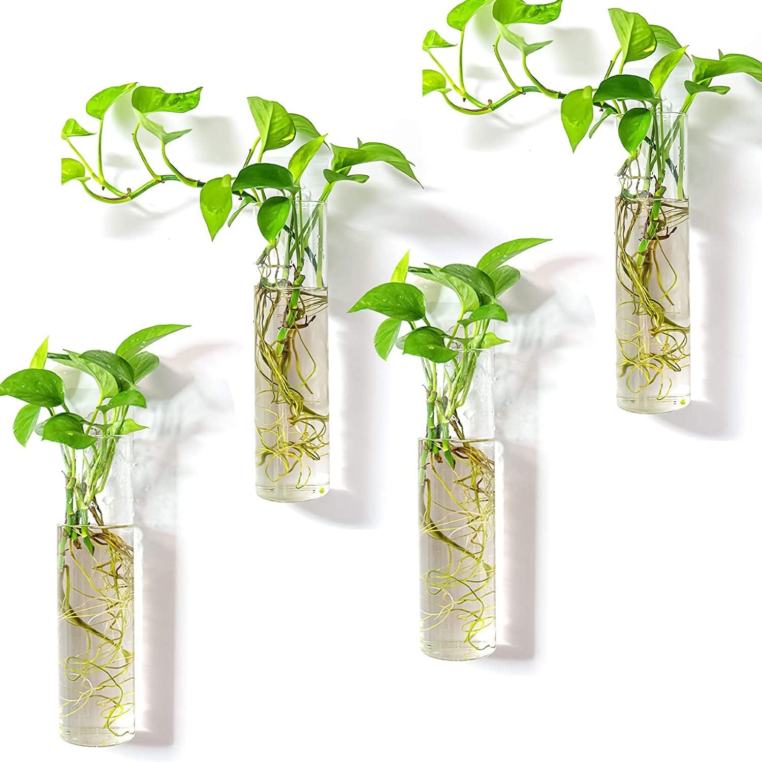 Wall Hanging Planter Glass Plant Propagation Station for Home Office Decor, Large Cylinder, 4 Pack