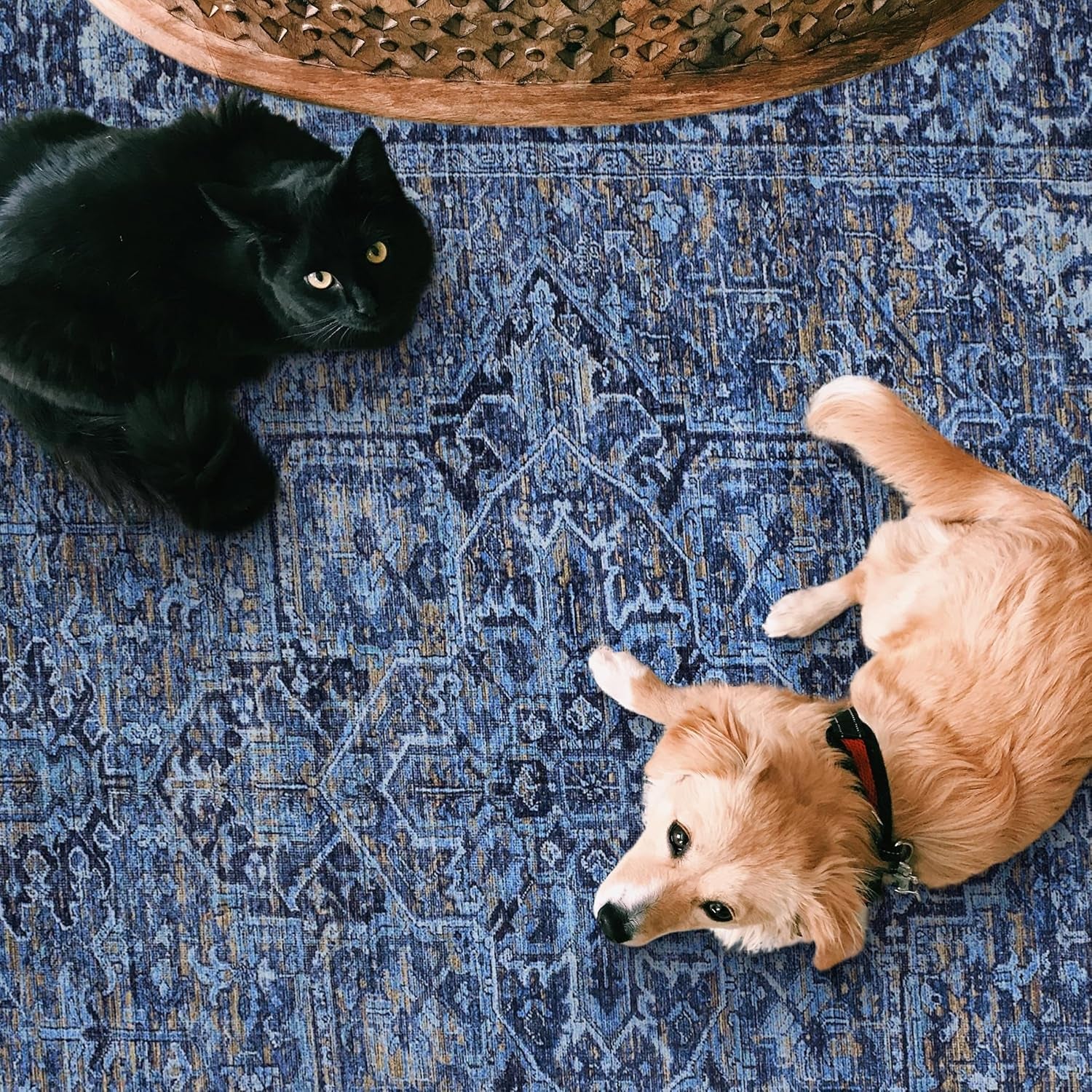 Realife Machine Washable Rug - Stain Resistant, Non-Shed - Eco-Friendly, Non-Slip, Family & Pet Friendly - Made from Premium Recycled Fibers - Vintage Distressed Traditional - Blue, 7'6" X 9'6"